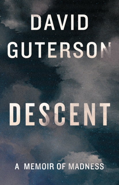 Book Cover for Descent by David Guterson