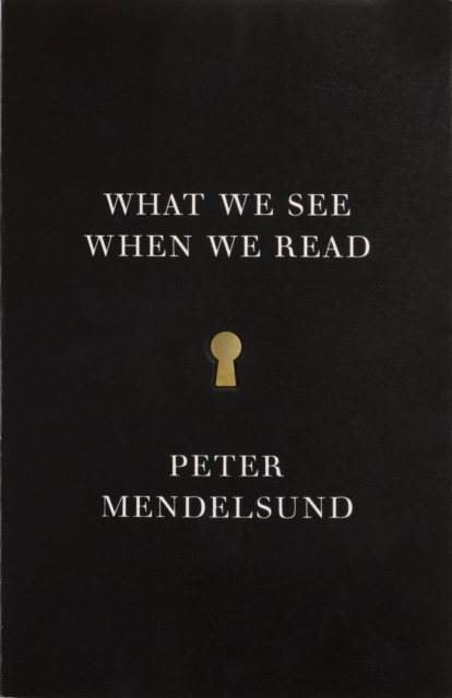 Book Cover for What We See When We Read by Peter Mendelsund