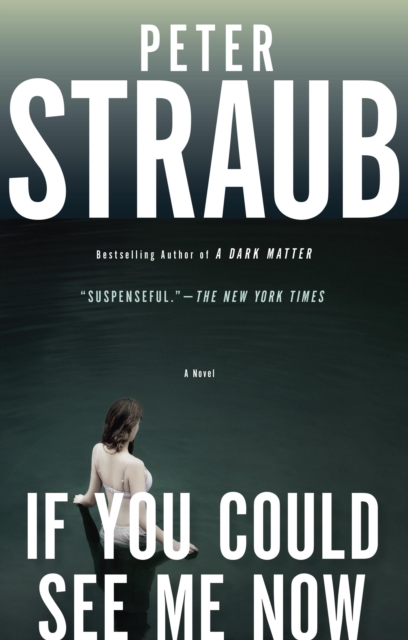 Book Cover for If You Could See Me Now by Straub, Peter