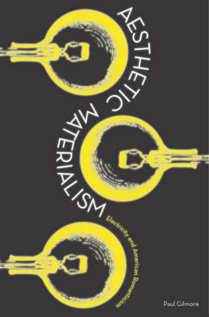 Book Cover for Aesthetic Materialism by Gilmore, Paul