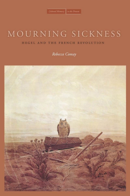 Book Cover for Mourning Sickness by Rebecca Comay