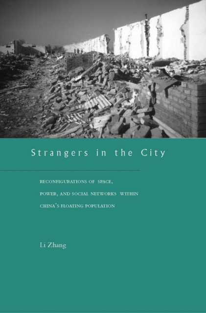 Book Cover for Strangers in the City by Li Zhang