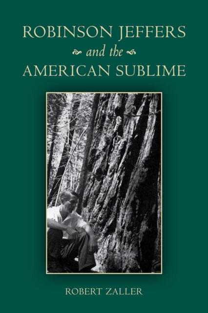 Book Cover for Robinson Jeffers and the American Sublime by Robert Zaller