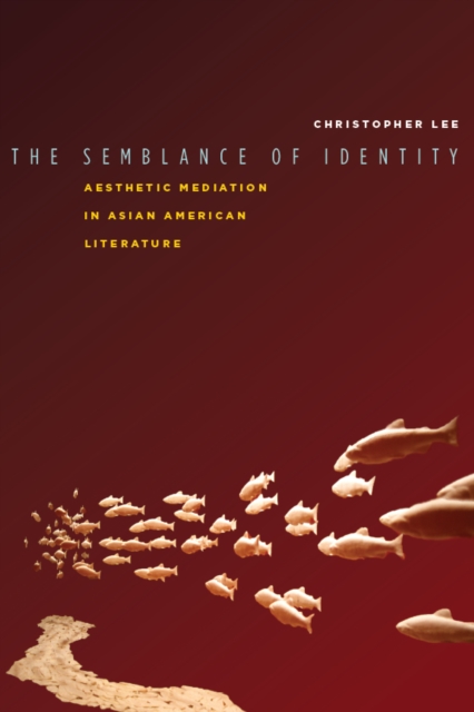 Book Cover for Semblance of Identity by Christopher Lee