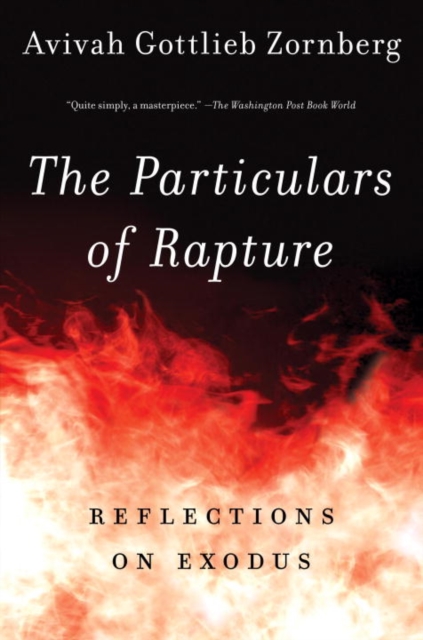 Book Cover for Particulars of Rapture by Avivah Gottlieb Zornberg