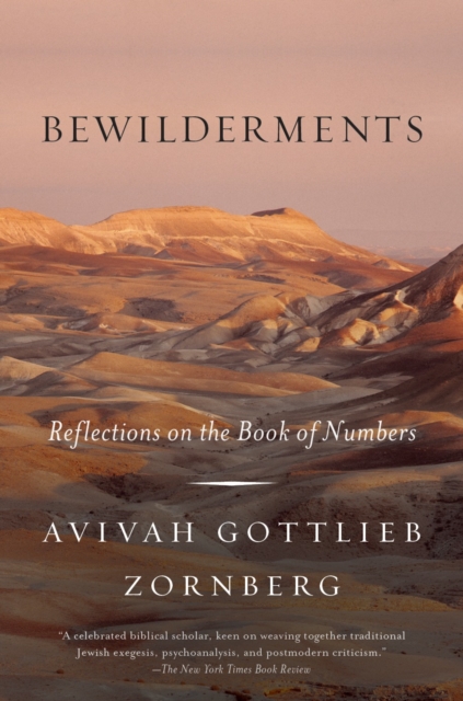 Book Cover for Bewilderments by Avivah Gottlieb Zornberg