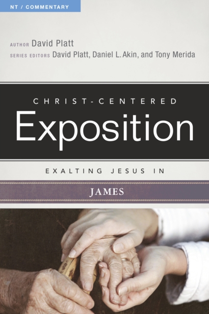 Book Cover for Exalting Jesus In James by David Platt