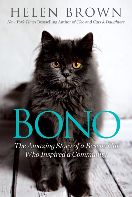 Book Cover for Bono by Helen Brown