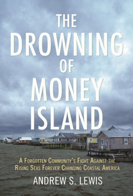 Book Cover for Drowning of Money Island by Andrew S. Lewis