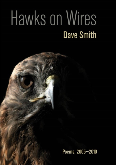 Book Cover for Hawks on Wires by Dave Smith