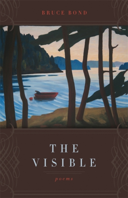 Book Cover for Visible by Bruce Bond