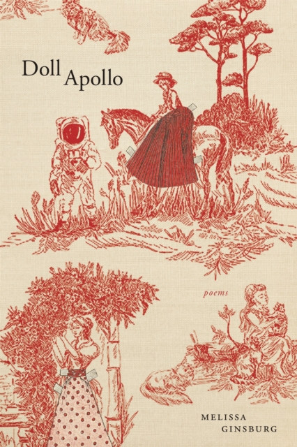 Book Cover for Doll Apollo by Melissa Ginsburg