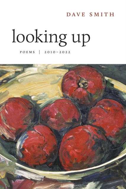 Book Cover for Looking Up by Dave Smith