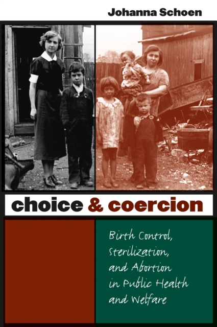 Book Cover for Choice and Coercion by Johanna Schoen