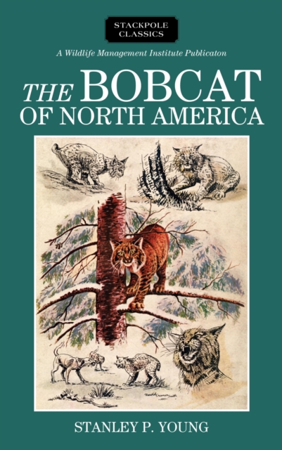 Book Cover for Bobcat of North America by Stanley P. Young