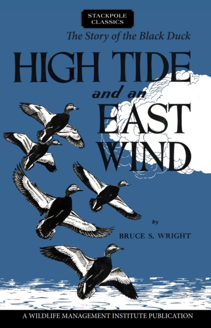 Book Cover for High Tide and an East Wind by Bruce S. Wright