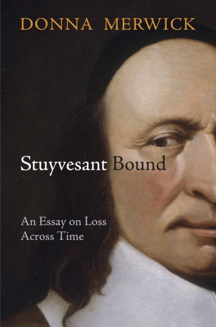 Book Cover for Stuyvesant Bound by Donna Merwick