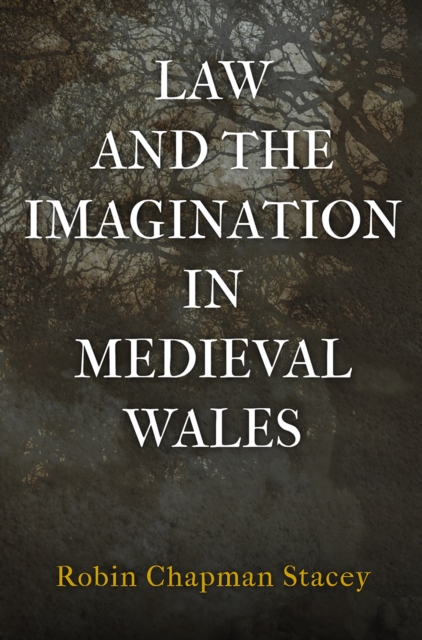 Book Cover for Law and the Imagination in Medieval Wales by Robin Chapman Stacey