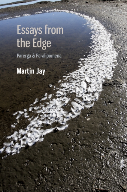 Book Cover for Essays from the Edge by Jay, Martin