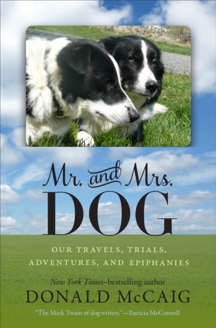 Book Cover for Mr. and Mrs. Dog by Donald McCaig