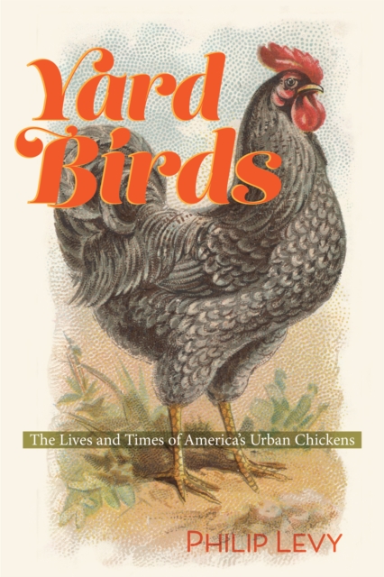 Book Cover for Yard Birds by Philip Levy