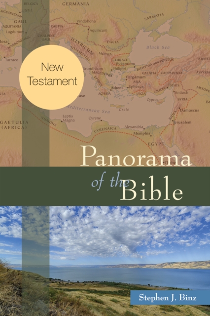 Book Cover for Panorama of the Bible by Stephen J. Binz