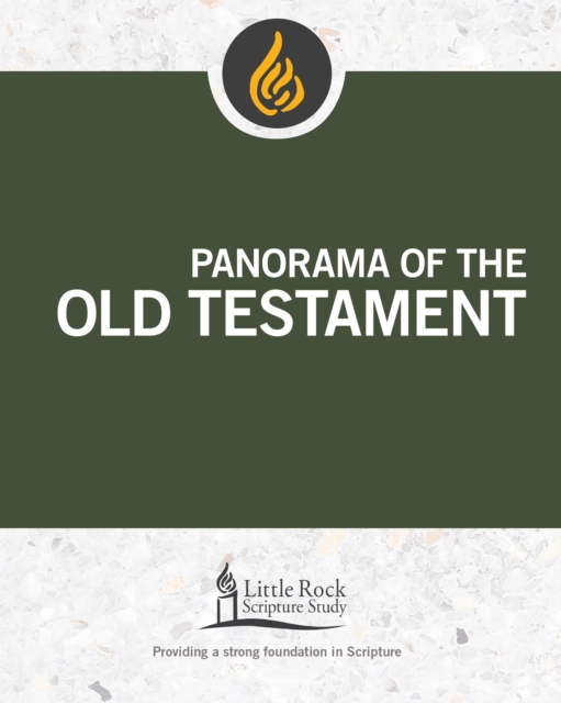 Book Cover for Panorama of the Old Testament by Stephen J. Binz