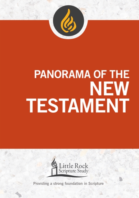 Book Cover for Panorama of the New Testament by Stephen J. Binz