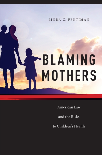 Book Cover for Blaming Mothers by Linda C. Fentiman