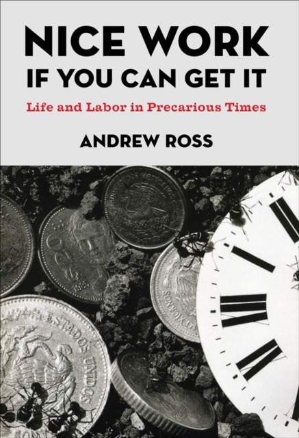 Book Cover for Nice Work If You Can Get It by Andrew Ross