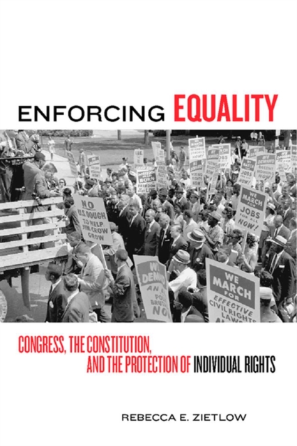 Book Cover for Enforcing Equality by Rebecca E Zietlow