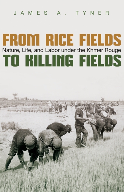 Book Cover for From Rice Fields to Killing Fields by James A. Tyner