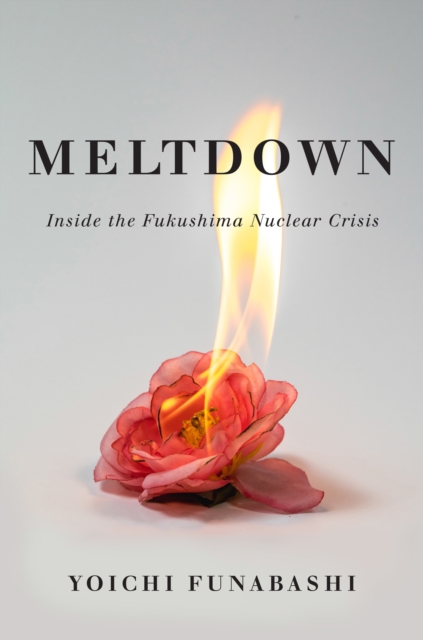 Book Cover for Meltdown by Yoichi Funabashi