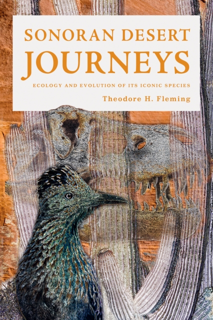 Book Cover for Sonoran Desert Journeys by Fleming Theodore H. Fleming