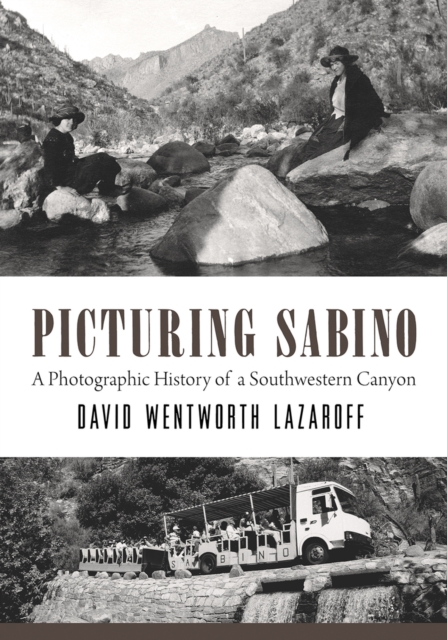 Book Cover for Picturing Sabino by Lazaroff David Wentworth Lazaroff