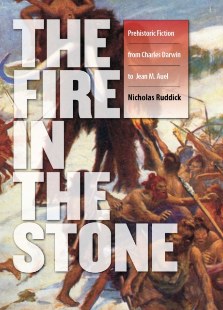 Book Cover for Fire in the Stone by Ruddick, Nicholas