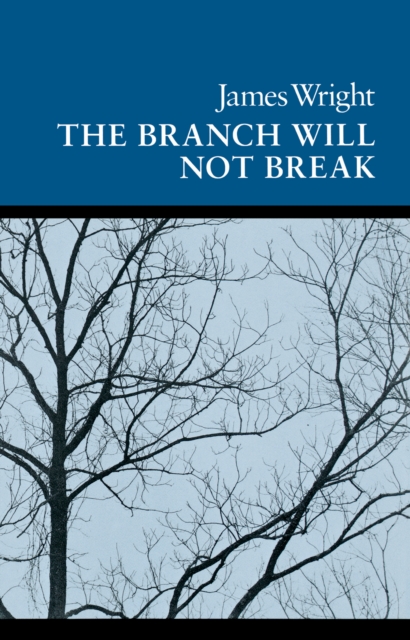 Branch Will Not Break