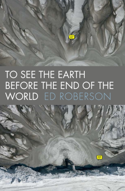 Book Cover for To See the Earth Before the End of the World by Ed Roberson