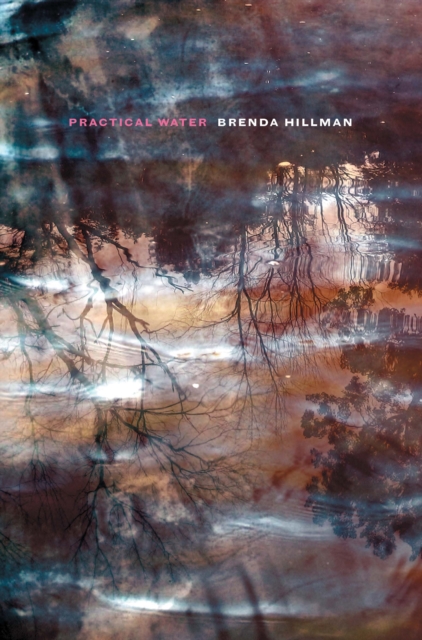 Book Cover for Practical Water by Hillman, Brenda