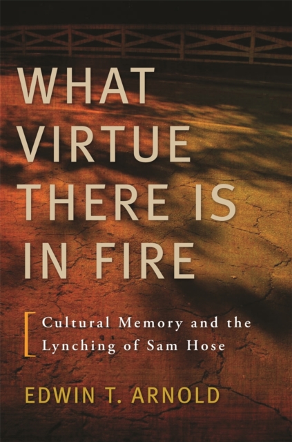 Book Cover for What Virtue There Is in Fire by Edwin T. Arnold