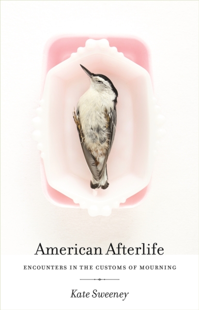 Book Cover for American Afterlife by Kate Sweeney