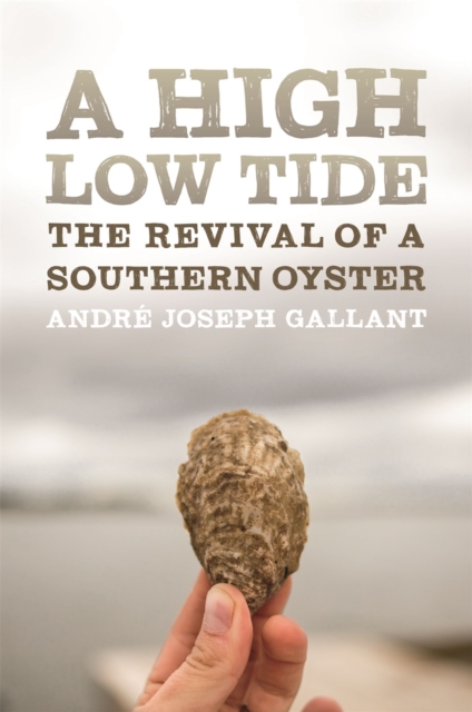 Book Cover for High Low Tide by Andre Joseph Gallant