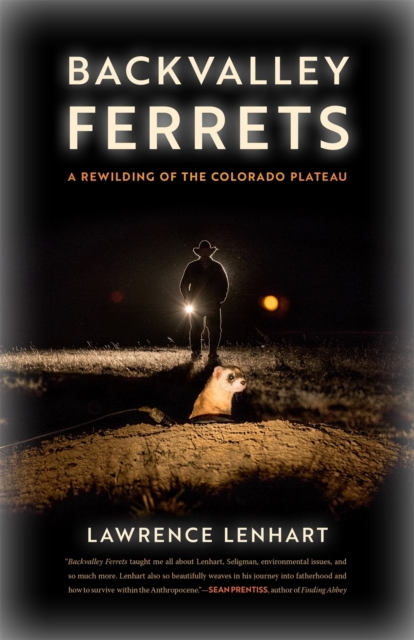 Book Cover for Backvalley Ferrets by Lawrence Lenhart