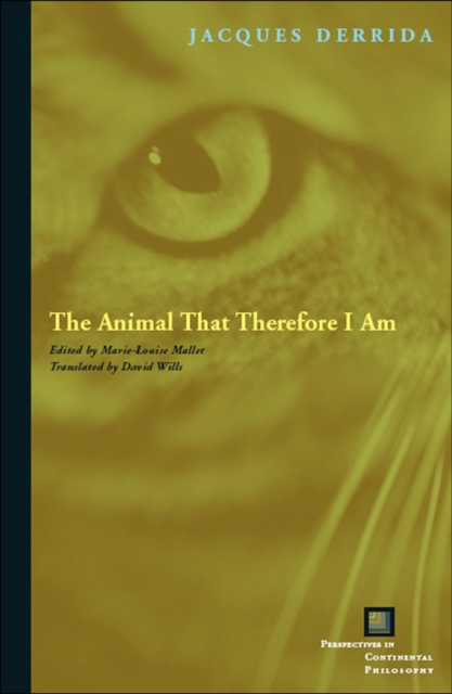 Book Cover for Animal That Therefore I Am by Jacques Derrida