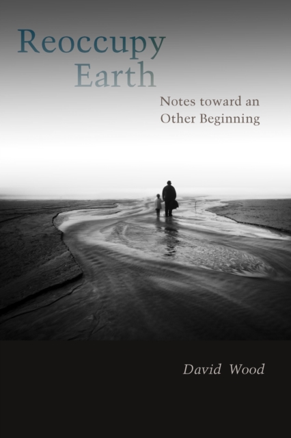 Book Cover for Reoccupy Earth by David Wood