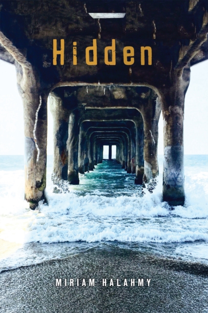 Book Cover for Hidden by Miriam Halahmy