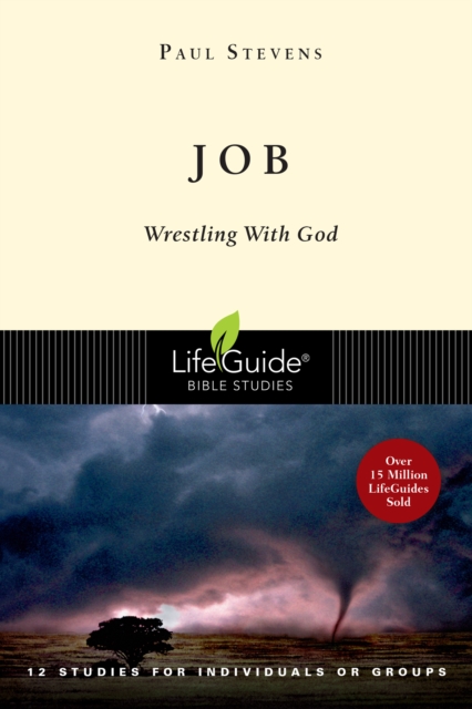 Book Cover for Job by R. Paul Stevens