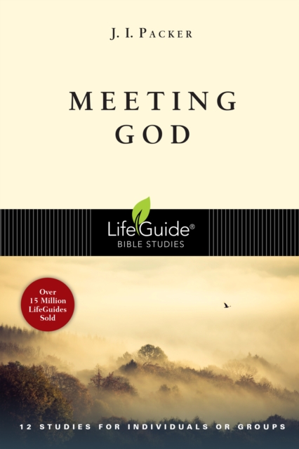 Book Cover for Meeting God by J. I. Packer