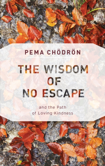 Book Cover for Wisdom of No Escape by Pema Chodron