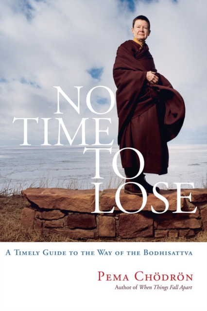 Book Cover for No Time to Lose by Pema Chodron